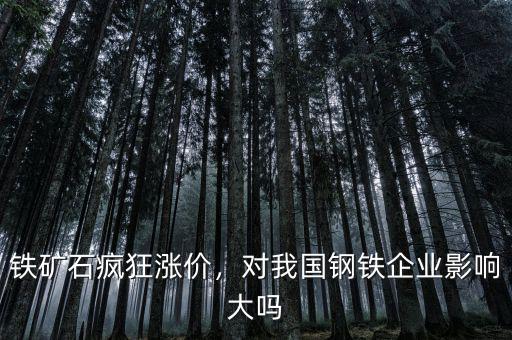 鐵礦石瘋狂漲價，對我國鋼鐵企業(yè)影響大嗎