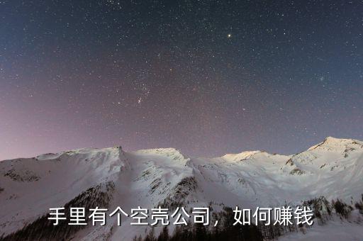 手里有個空殼公司，如何賺錢