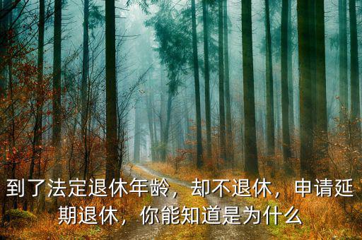 到了法定退休年齡，卻不退休，申請延期退休，你能知道是為什么