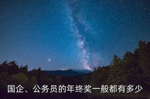 國企、公務(wù)員的年終獎(jiǎng)一般都有多少