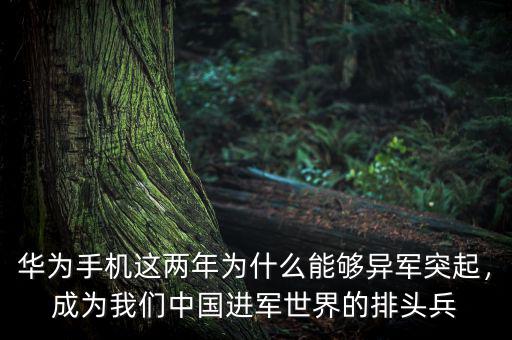 華為手機(jī)這兩年為什么能夠異軍突起，成為我們中國(guó)進(jìn)軍世界的排頭兵