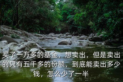 買了一萬多的基金，想賣出，但是賣出的只有五千多的份額，到底能賣出多少錢，怎么少了一半