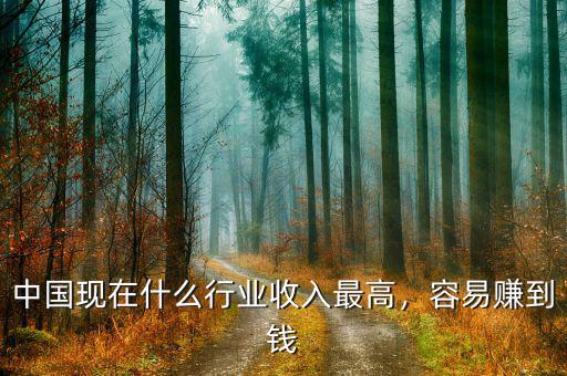 中國現(xiàn)在什么行業(yè)收入最高，容易賺到錢