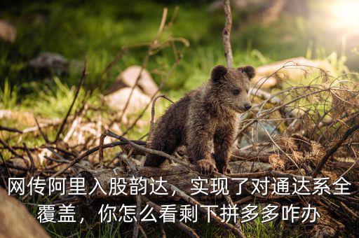 網(wǎng)傳阿里入股韻達(dá)，實(shí)現(xiàn)了對(duì)通達(dá)系全覆蓋，你怎么看剩下拼多多咋辦