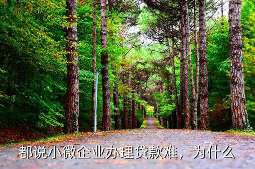 都說小微企業(yè)辦理貸款難，為什么