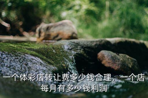一個(gè)體彩店轉(zhuǎn)讓費(fèi)多少錢合理，一個(gè)店每月有多少錢利潤