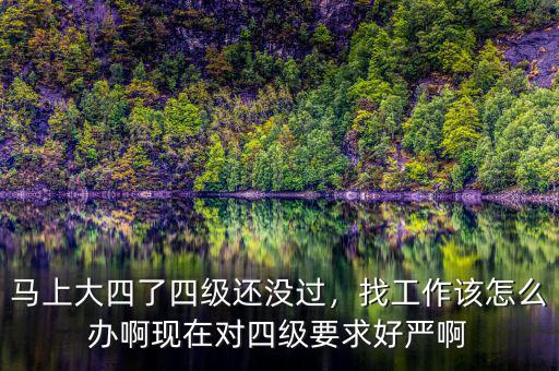 馬上大四了四級(jí)還沒過，找工作該怎么辦啊現(xiàn)在對(duì)四級(jí)要求好嚴(yán)啊