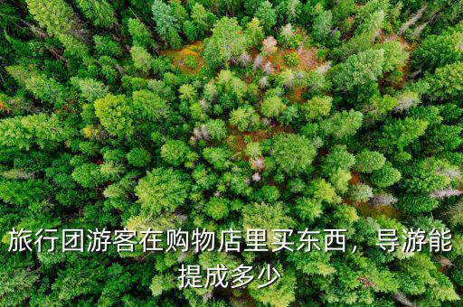 購物店導(dǎo)游提成多少,旅行團游客在購物店里買東西