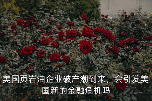 美國頁巖油企業(yè)破產(chǎn)潮到來，會引發(fā)美國新的金融危機(jī)嗎