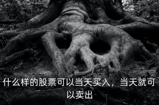什么樣的股票可以當(dāng)天買入，當(dāng)天就可以賣出