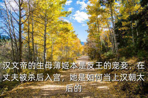 漢文帝的生母薄姬本是反王的寵妾，在丈夫被殺后入宮，她是如何當上漢朝太后的
