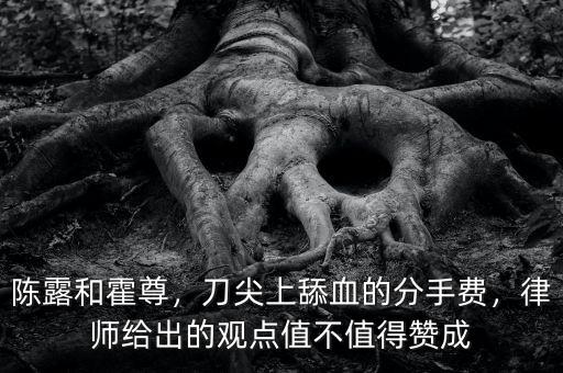 陳露和霍尊，刀尖上舔血的分手費，律師給出的觀點值不值得贊成