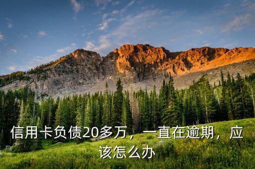 信用卡負(fù)債20多萬(wàn)，一直在逾期，應(yīng)該怎么辦
