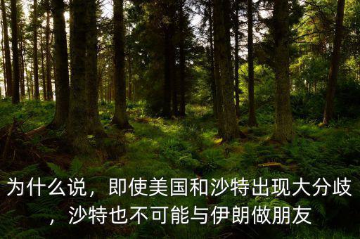 為什么說，即使美國和沙特出現(xiàn)大分歧，沙特也不可能與伊朗做朋友