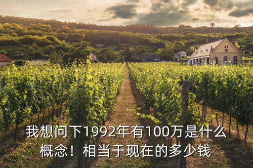 我想問(wèn)下1992年有100萬(wàn)是什么概念！相當(dāng)于現(xiàn)在的多少錢(qián)