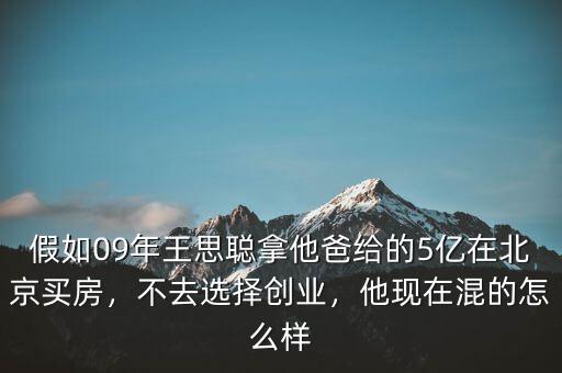 假如09年王思聰拿他爸給的5億在北京買房，不去選擇創(chuàng)業(yè)，他現(xiàn)在混的怎么樣