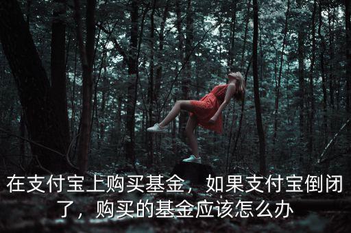 在支付寶上購(gòu)買(mǎi)基金，如果支付寶倒閉了，購(gòu)買(mǎi)的基金應(yīng)該怎么辦