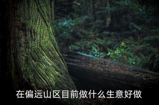 偏遠城市做什么項目,可用5年。做什么項目好呢