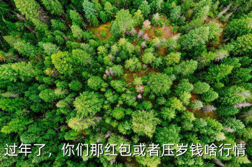 過年了，你們那紅包或者壓歲錢啥行情