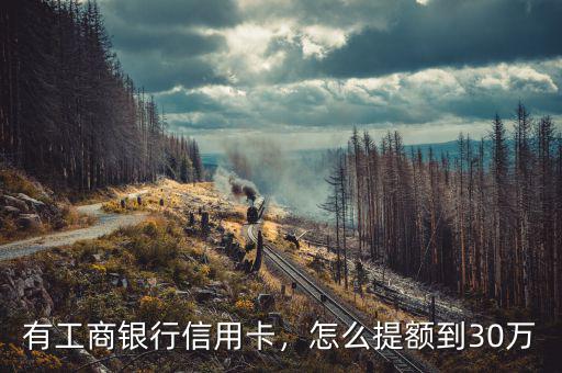 有工商銀行信用卡，怎么提額到30萬(wàn)