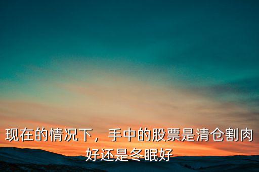 現(xiàn)在的情況下，手中的股票是清倉割肉好還是冬眠好