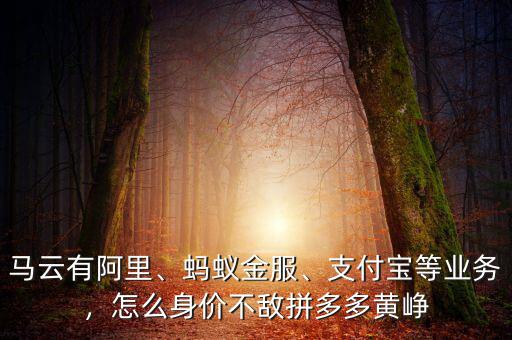 馬云有阿里、螞蟻金服、支付寶等業(yè)務(wù)，怎么身價(jià)不敵拼多多黃崢