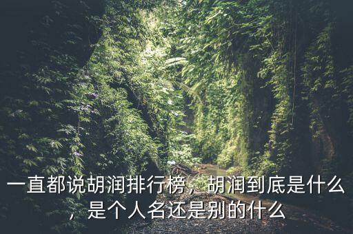 一直都說(shuō)胡潤(rùn)排行榜，胡潤(rùn)到底是什么，是個(gè)人名還是別的什么