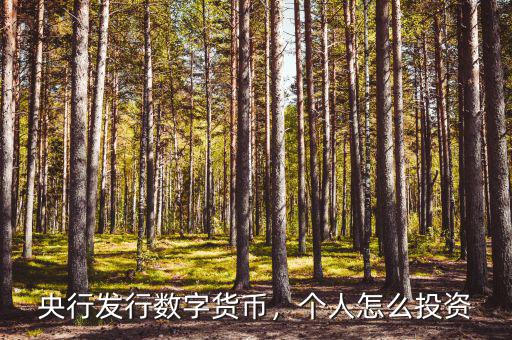數字貨幣央行怎么發(fā)行,為什么央行發(fā)行數字貨幣