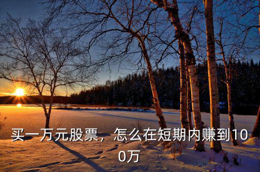 買一萬元股票，怎么在短期內(nèi)賺到100萬