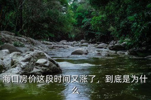 海口房價這段時間又漲了，到底是為什么