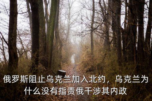 俄羅斯阻止烏克蘭加入北約，烏克蘭為什么沒有指責(zé)俄干涉其內(nèi)政