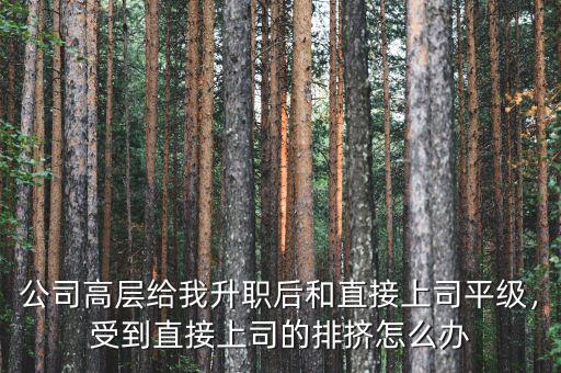 公司高層給我升職后和直接上司平級(jí)，受到直接上司的排擠怎么辦