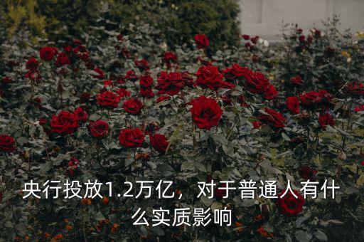央行投放1.2萬億，對(duì)于普通人有什么實(shí)質(zhì)影響