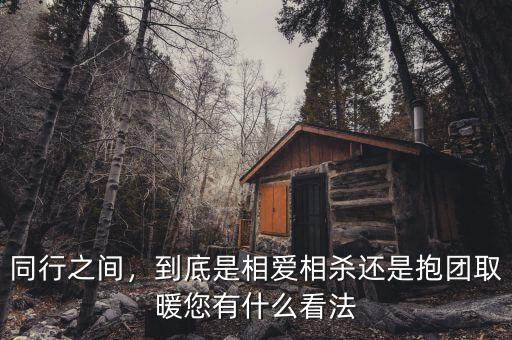 同行之間，到底是相愛(ài)相殺還是抱團(tuán)取暖您有什么看法