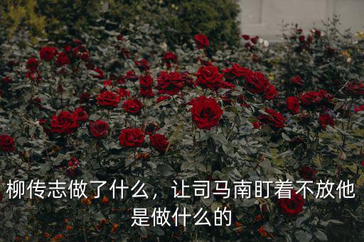 柳傳志做了什么，讓司馬南盯著不放他是做什么的