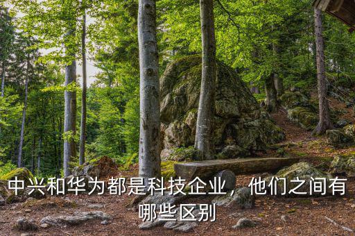 中興和華為都是科技企業(yè)，他們之間有哪些區(qū)別