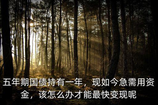 五年期國債持有一年，現(xiàn)如今急需用資金，該怎么辦才能最快變現(xiàn)呢