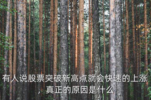 有人說股票突破新高點就會快速的上漲，真正的原因是什么