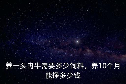 養(yǎng)一頭肉牛需要多少飼料，養(yǎng)10個(gè)月能掙多少錢