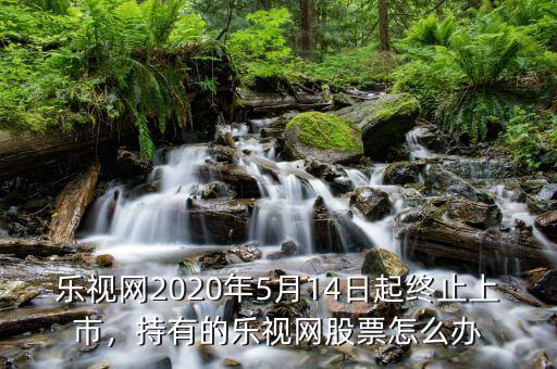 樂(lè)視網(wǎng)2020年5月14日起終止上市，持有的樂(lè)視網(wǎng)股票怎么辦