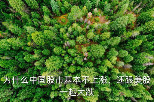 為什么中國股市基本不上漲，還跟美股一起大跌