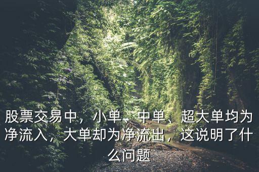 股票交易中，小單、中單、超大單均為凈流入，大單卻為凈流出，這說明了什么問題