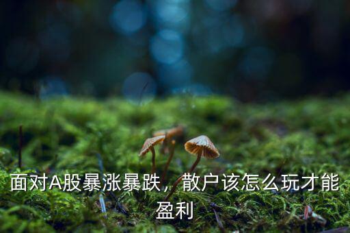 面對(duì)A股暴漲暴跌，散戶(hù)該怎么玩才能盈利