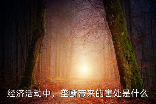 經(jīng)濟(jì)活動(dòng)中，壟斷帶來(lái)的害處是什么