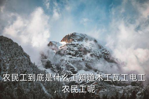 農(nóng)民工到底是什么工知道木工瓦工電工，農(nóng)民工呢