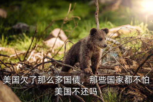 美國(guó)買(mǎi)了中國(guó)多少國(guó)債,美國(guó)欠了那么多國(guó)債