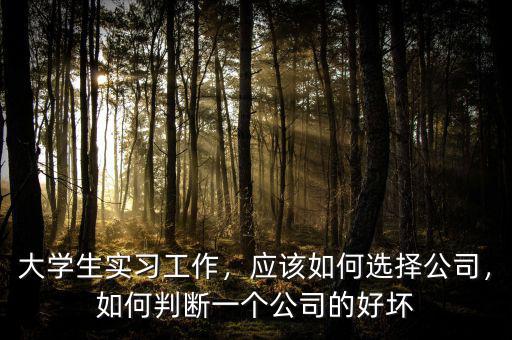 大學(xué)生實(shí)習(xí)工作，應(yīng)該如何選擇公司，如何判斷一個(gè)公司的好壞