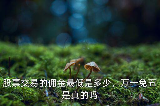 股票交易的傭金最低是多少，萬一免五是真的嗎