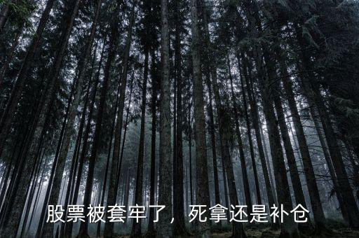 股票被套牢了，死拿還是補倉