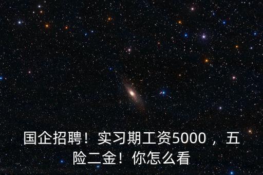 國企招聘！實習(xí)期工資5000 ，五險二金！你怎么看